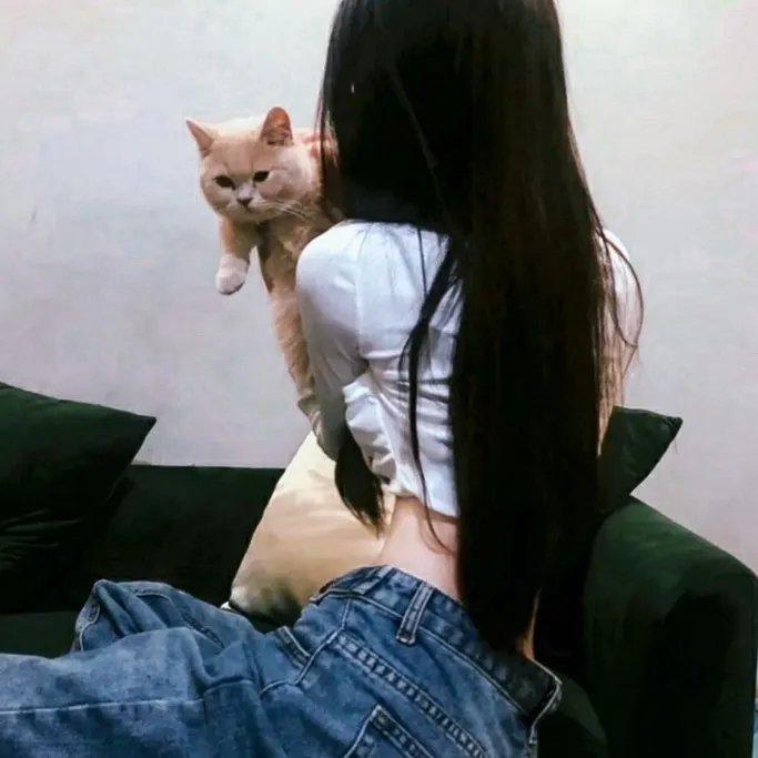 辣手寻芳